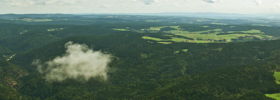 Wehratal / Hotzenwald Online