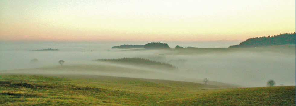 Bodennebel / Hotzenwald Online